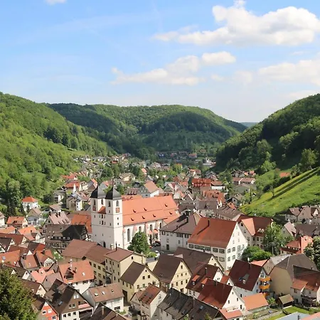 Albhotel Malakoff - House Of Nature Wiesensteig