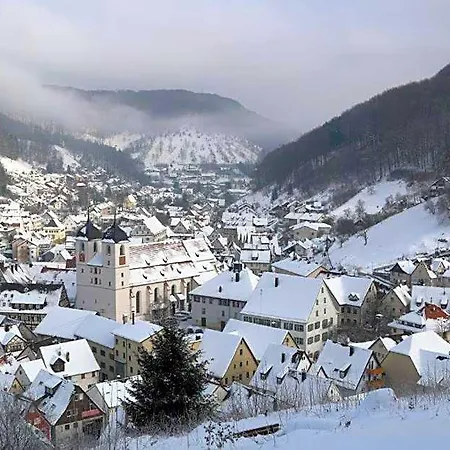 Albhotel Malakoff - House Of Nature 3* Wiesensteig