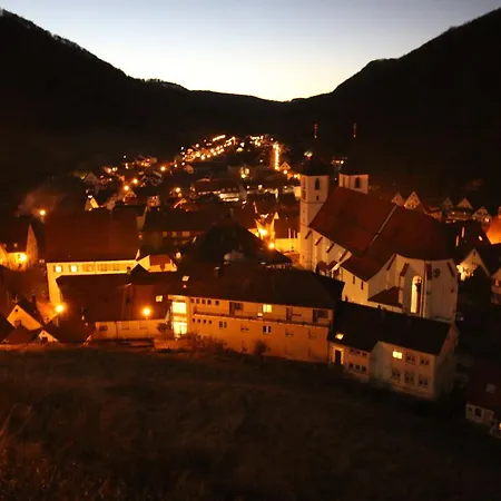 Albhotel Malakoff - House Of Nature Hotel Wiesensteig